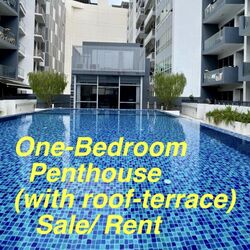 Suites 28 (D14), Apartment #435743011